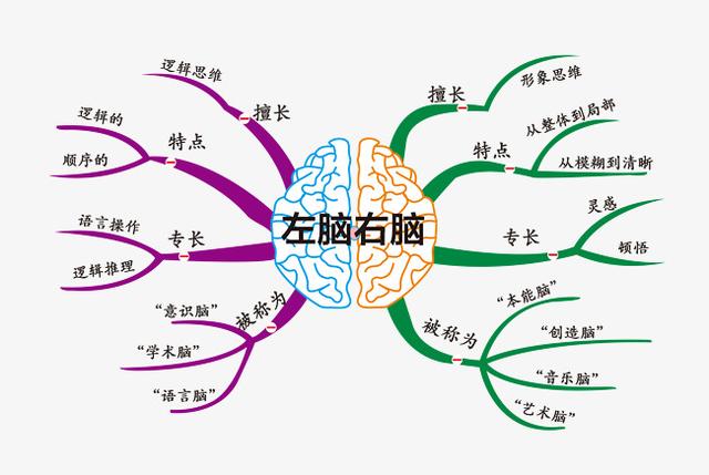 最新思维导图,最新思维导图，重塑思维方式的革命性工具