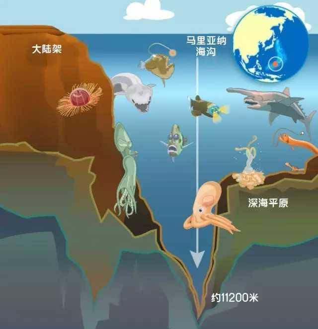 技术咨询 第451页