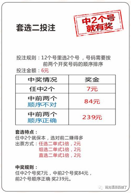 新澳门49码中奖规则,新澳门49码中奖规则解析与警示——远离赌博犯罪