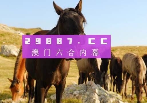 蝇营狗苟 第13页