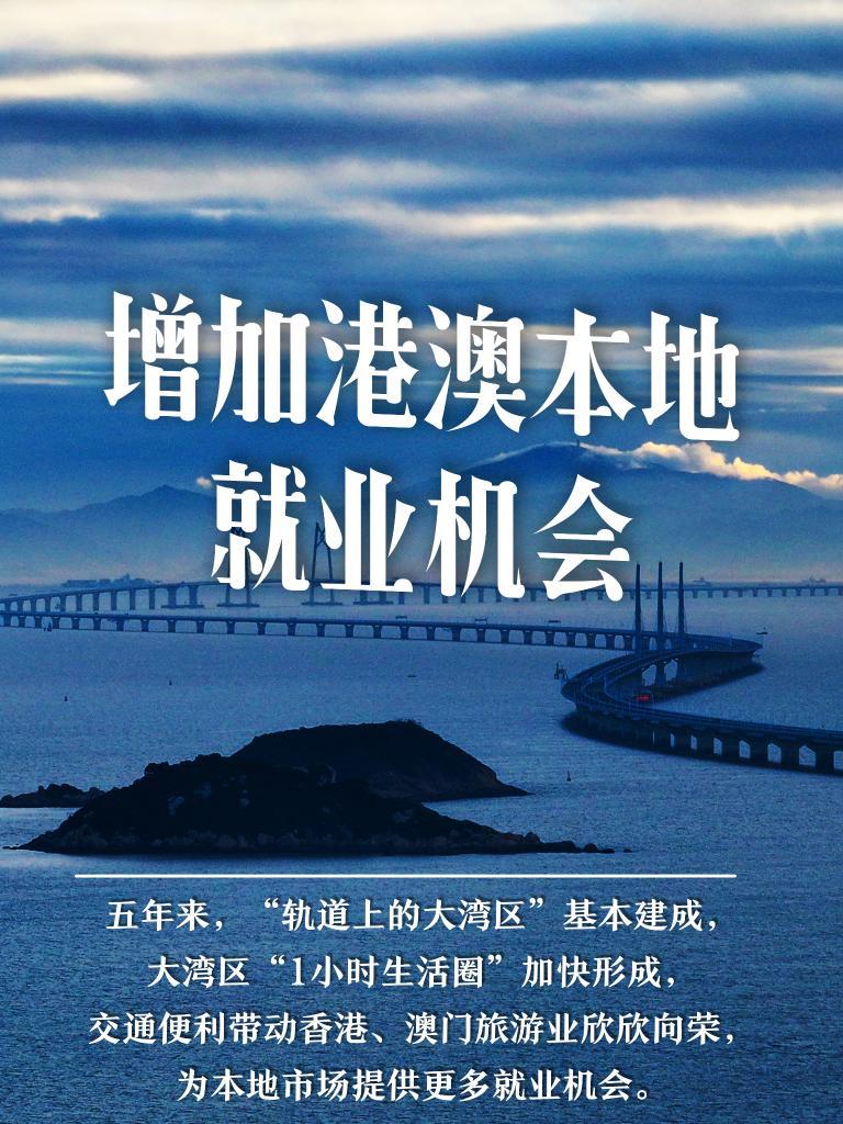 新澳门期期免费资料,警惕新澳门期期免费资料的背后风险