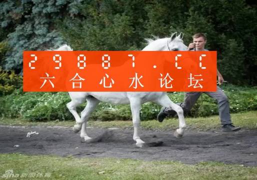 7777788888新版跑狗图,探索新版跑狗图，77777与88888的神秘世界