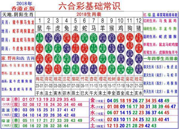 2024新澳门正版免费资料生肖卡,探索2024新澳门正版免费资料生肖卡的奥秘