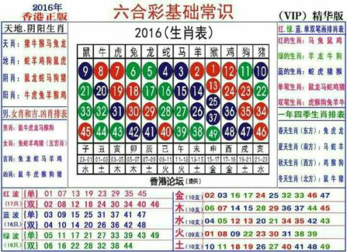 2024十二生肖49码表,揭秘2024十二生肖与数字彩票的奇妙结合——49码表全解析