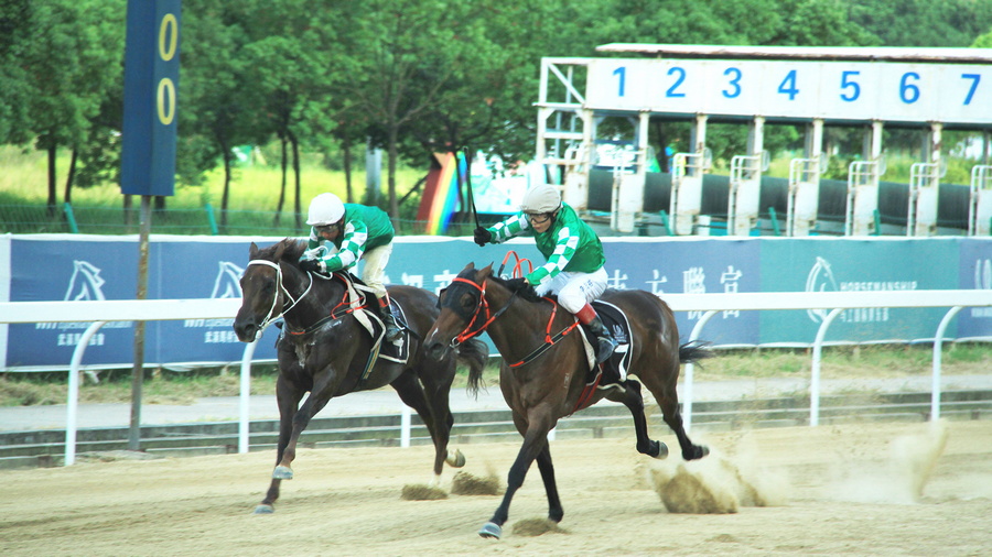 香港今晚开什么特马,香港今晚开什么特马，探索赛马文化及其影响