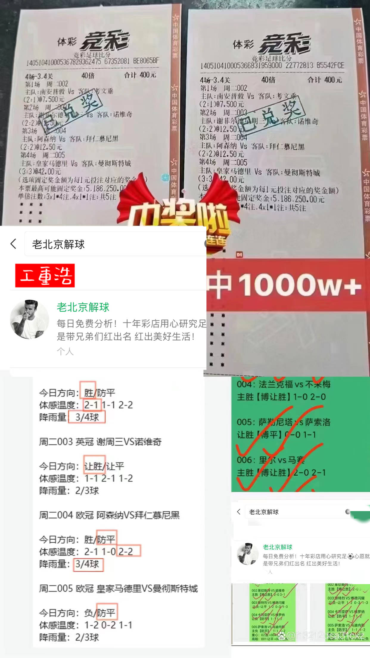 澳门王中王100的资料20,澳门王中王100的资料详解，历史、数据与影响（20年深度分析）