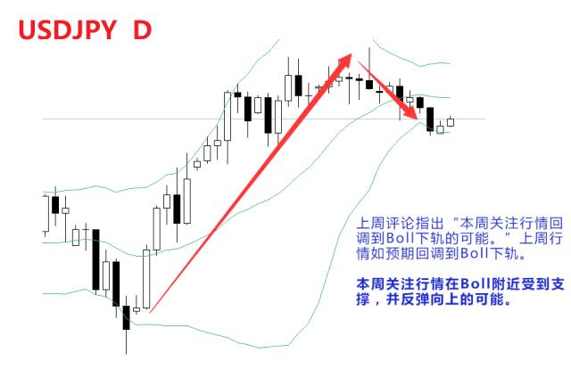 2025澳家婆一肖一特,探索澳家婆的独特魅力与未来展望——以生肖文化为视角（一肖一特）