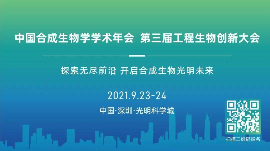 2025新澳免费资料大全,探索未来，2025新澳免费资料大全概览