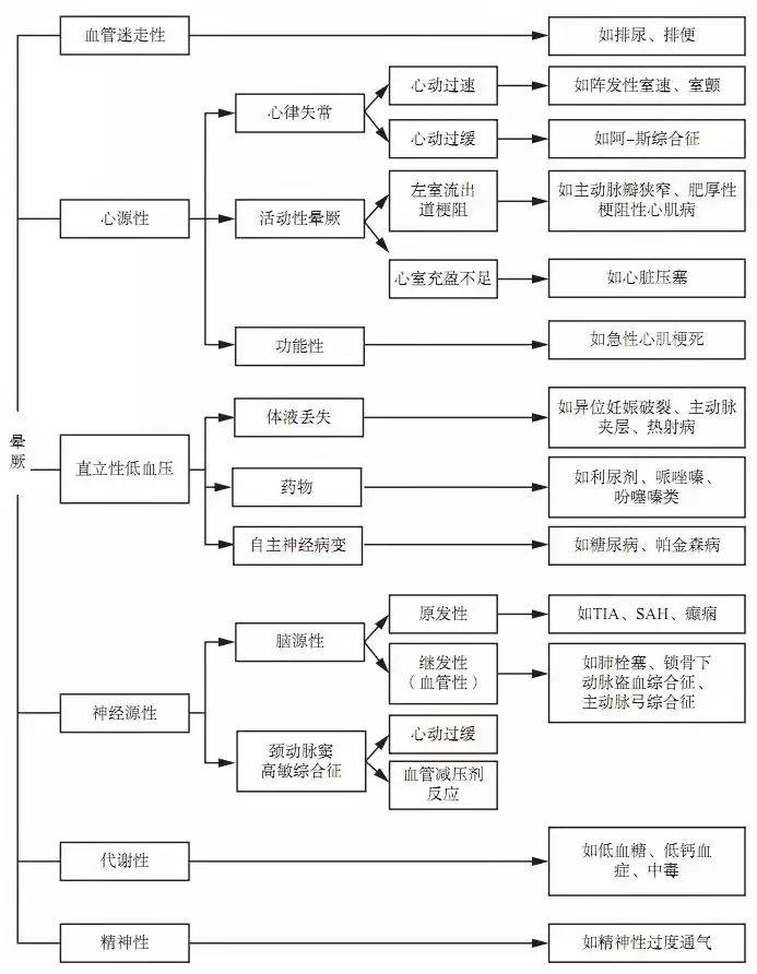 2023澳门天天开好彩大全,澳门天天开好彩背后的秘密与挑战，一个深入探究的探讨