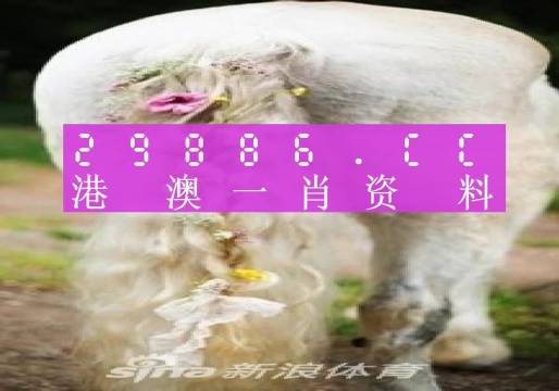 今晚一肖一码澳门一肖四不像005期 08-09-20-24-42-47M：46,今晚一肖一码澳门一肖四不像005期，探寻神秘数字背后的故事与启示