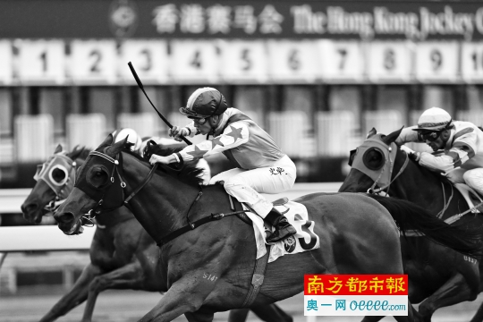 2024香港今期开奖号码马会090期 02-07-08-28-35-42L：26,探索香港马会2024年今期开奖号码，090期的神秘数字组合